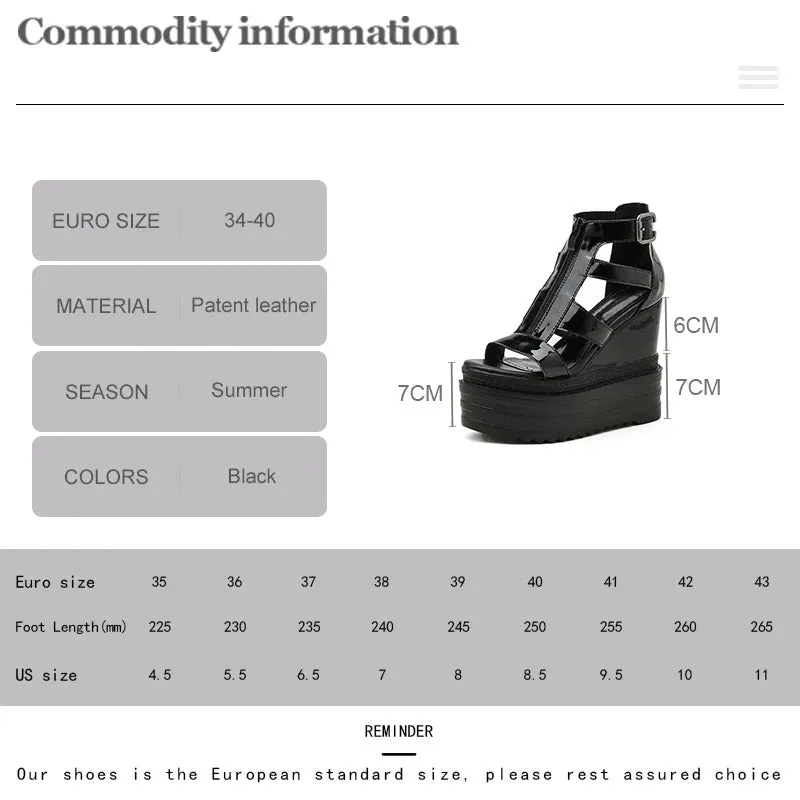 Joskaa 2024 New Platform Chunky Heels Sandals